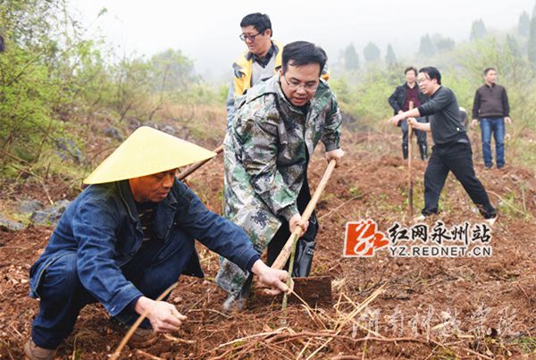 爱体育手机网页版登录入口党委书记陈弘与潮水铺村村支书一同种下金槐树苗