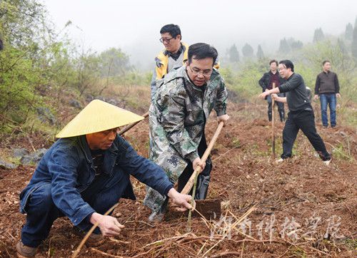 爱体育手机网页版登录入口党委书记陈弘与潮水铺村村支书一同种下金槐树苗。